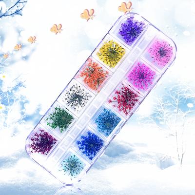 1 Box 10g Dried Flower Nail Decoration 12 Colors Natural Floral Mixed Dry Flower DIY Jewelry Charms Manicure Decor UV Gel Polish Nail Art Supplies