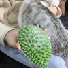 Cat Grooming Brush Durian Shape Wall Corner Comfortable Molar Toys Gently Removes Loose Hair