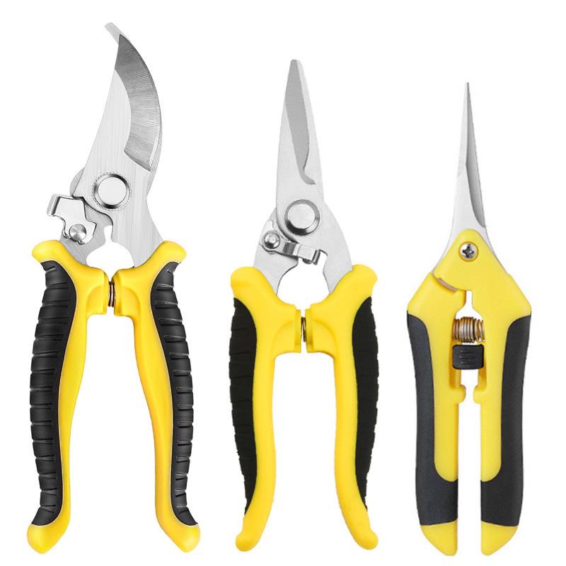 Customized Stainless Steel Pruning and Grapes Shear Set - Includes Garden Tools and Fruit Picking Scissors.