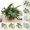 Multicolor Artificial Plant Large Size Simulation Turtle Leaf Lifelike Fake Palm Tree Photo Props