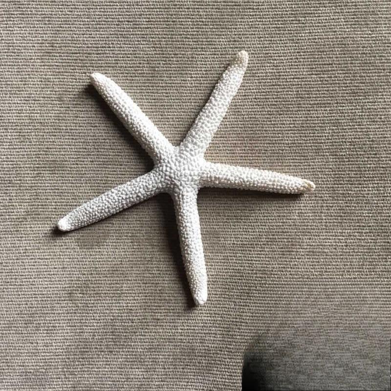 Stelle marine in resina Articoli decorativi per acquario in stile mediterraneo