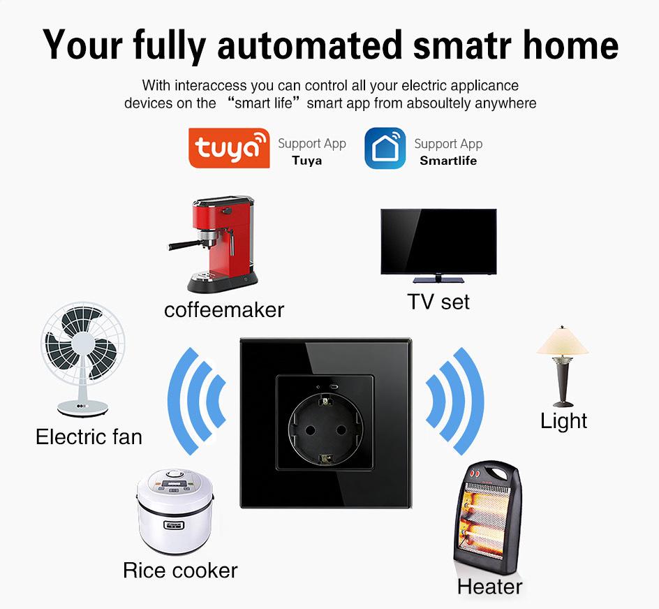 European Standard Smart WiFi Socket with App Remote, Voice Control, Timer, and Power Monitoring