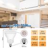 7W E11 LED Spotlight, 750LM, 2700K, Warm White, Equivalent To 60W-75W Halogen Bulbs, E11 Base, Wide Beam Angle, 40°, Non-Dimmable, Compatible with
