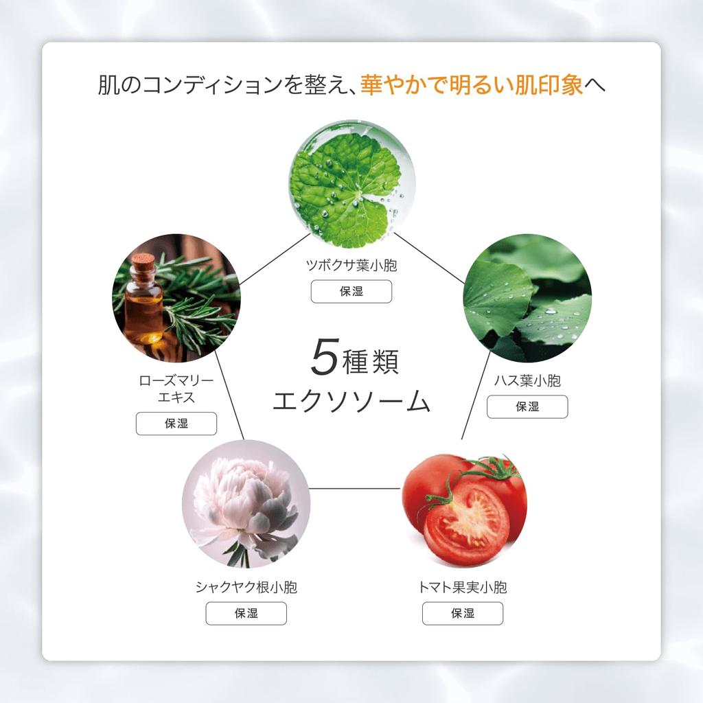 Offizielles SPICARE V3 Intelligentes Foundation-Nachfüllpack mit Puderquaste, 15g, Nur im Salon erhältlich, CHARIS&Co.