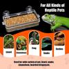 Anti-Escape Reptile Food Dish Reptile Food Water Feeding  For Chameleon Iguana Lizard Snakes
