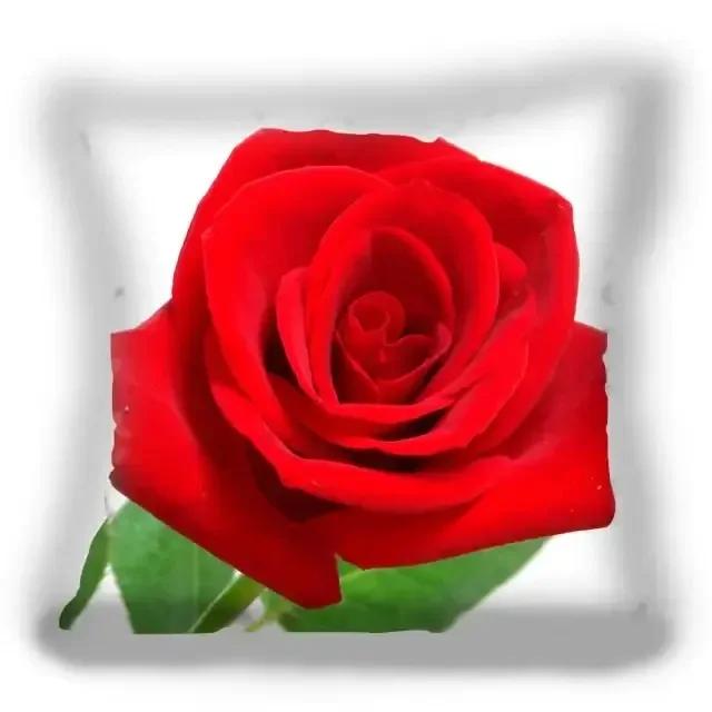 

Red Rose Flower Cushion Pillowcase Love Pillowcase Square Couple Essential Cushion Cover Bedroom Home Decoration 60x60cm білий