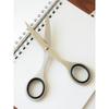 BEAMS JAPAN Stationery Custom ALLEX Office Scissors S Black - One Size