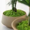 30/100G Artificial Green Moss DIY Crafts Indoor Plants Fairy Gardens Table Centerpieces Fish Tanks Microlandscape Decorative Fake Moss