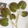 Artificial Leaf No-Maintenance Long-Lasting Freshness Realistic Fan-Shaped Leaves High-Simulation Texture Fake Tropical Leaves Home Decor