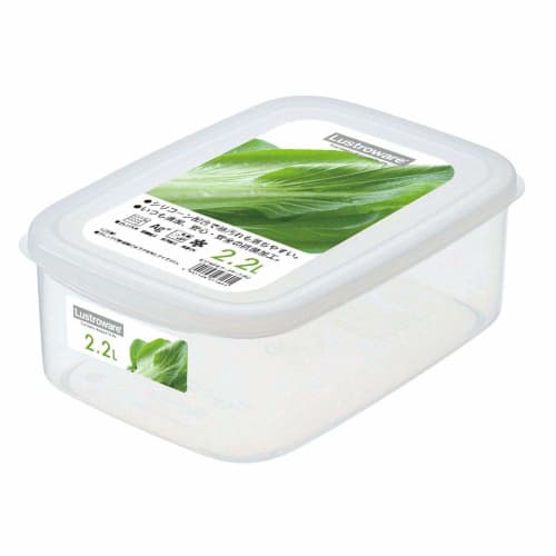 Iwasaki Kogyo Made In Japan Antibacterial Food Case XL B1716FR