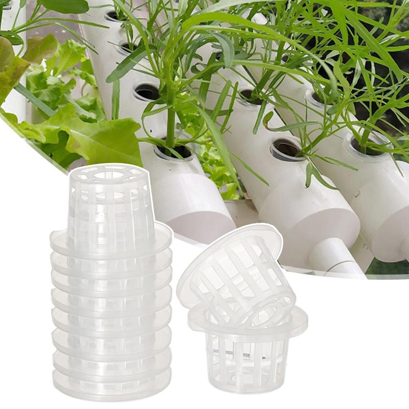 10/20/50Pcs Hydroponic Colonization Net Basket Plant Nursery Pot Aeroponic Vegetable Planting Grow Soilless Culture Sponge Cup
