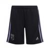 Childrens/Kids Olympique Lyonnais Third Shorts