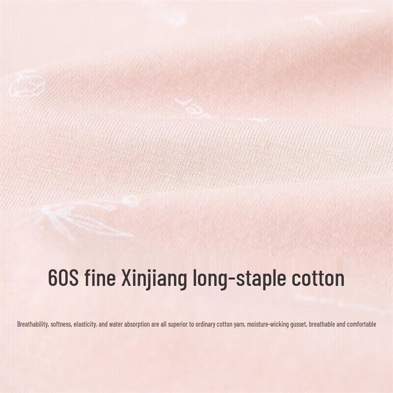 Dingguagua Women's Cotton High-Waist Underwear Multipack ZY33033