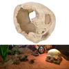 Human Skull  Model Fishtank Aquarium Landscaping Accessories For Scorpion Spider Lizard Snake