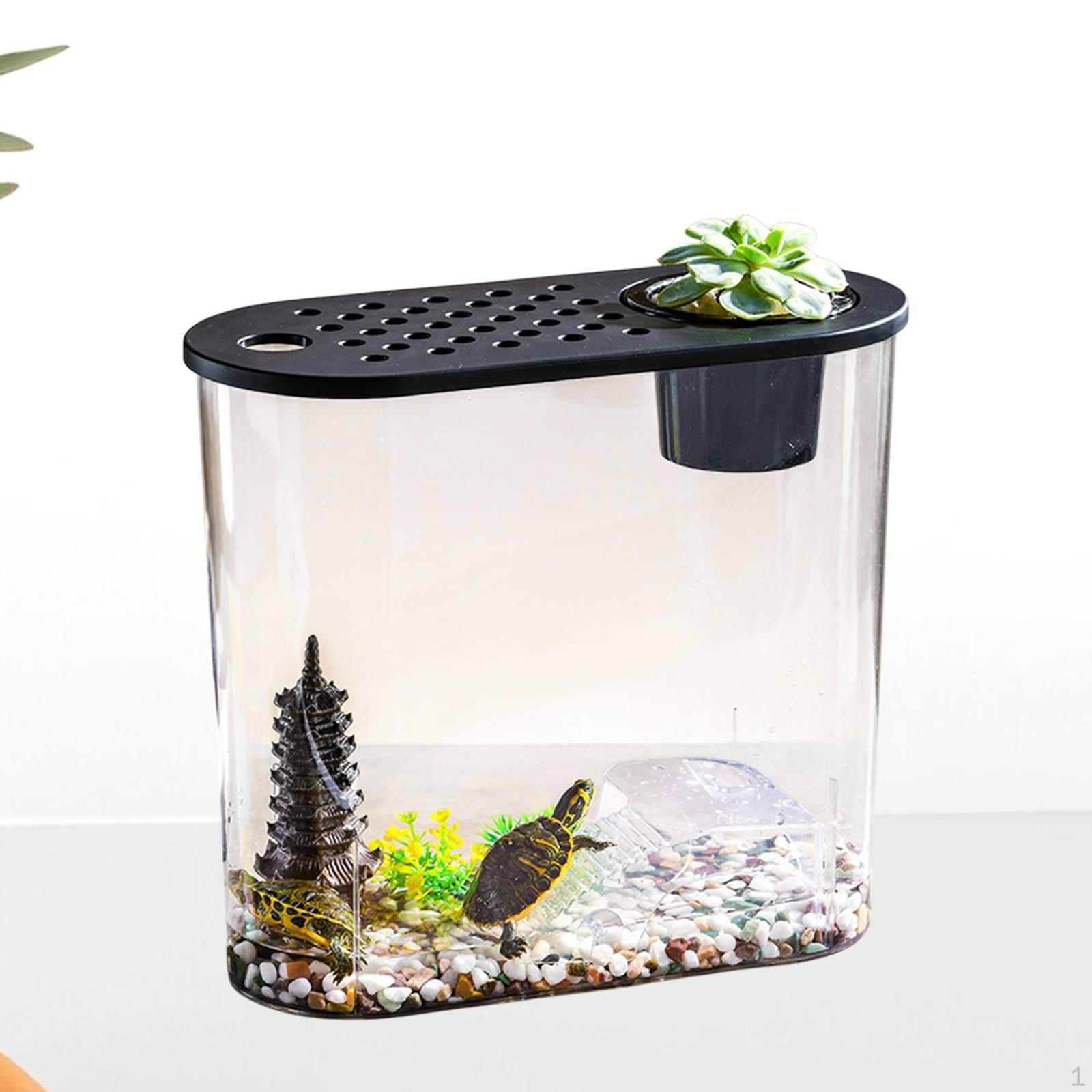 

Настольный аквариумный контейнер Aquascape, легкая банка для хранения, террариум, мини-аквариум для дома, Terrapin Black Lid