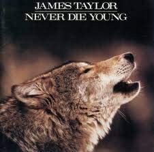 

CD JAMES TAYLOR - Never Die Young 32DP5069 Japan Rock Used