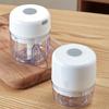 250ml Mini Rechargeable Garlic Chopper and Meat Grinder, Durable and Sturdy, Suitable for Crushing Garlic, Chili, Onions, Minced Meat, Nuts, and More
