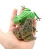 Realistic Texture Simulation Frog Toy Lifelike Appearance Toad Figurine  Animal Collections