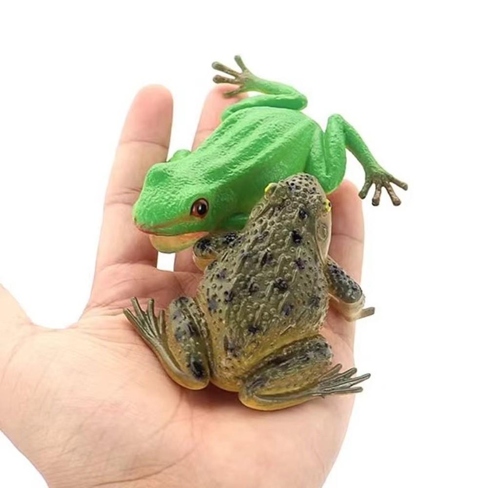 Realistic Texture Simulation Frog Toy Lifelike Appearance Toad Figurine Animal Collections