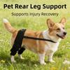 Adjustable Dog Knee Brace Comfortable Dog Leg Support Brace Pet Joint Protectors  Wound Protection