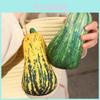 Adorable Plush Pumpkin Toy Soft And Cuddly Stuffed Vegetable For Kids And Toddlers