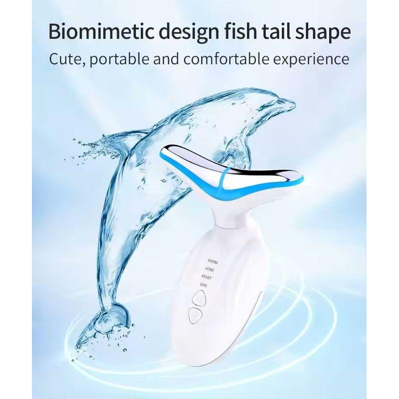 Beautyronics - USB Rechargeable EMS Face Massager