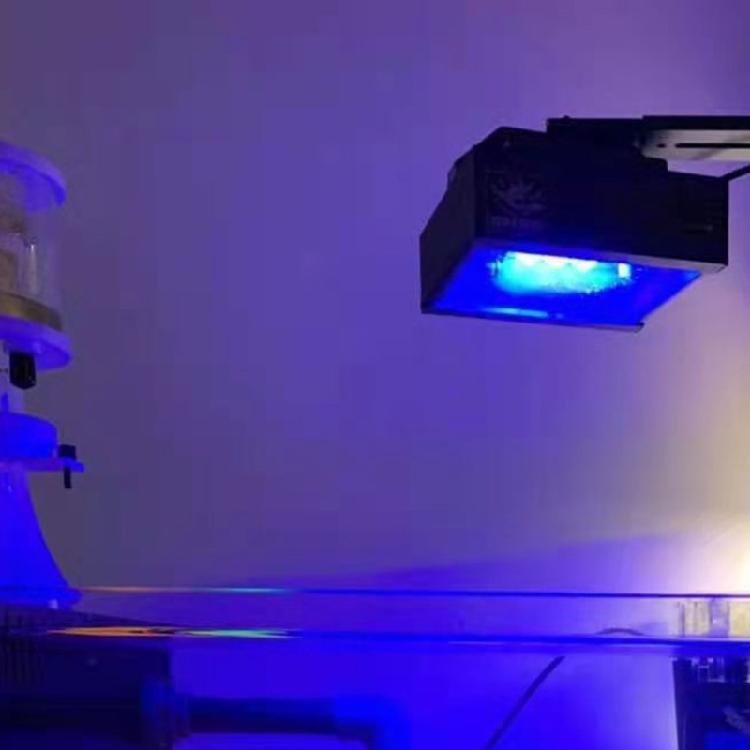 Acrylic Coral Frag Rack for Aquarium Strong Suction Cup Holds Up To 1 or 3 Plugs