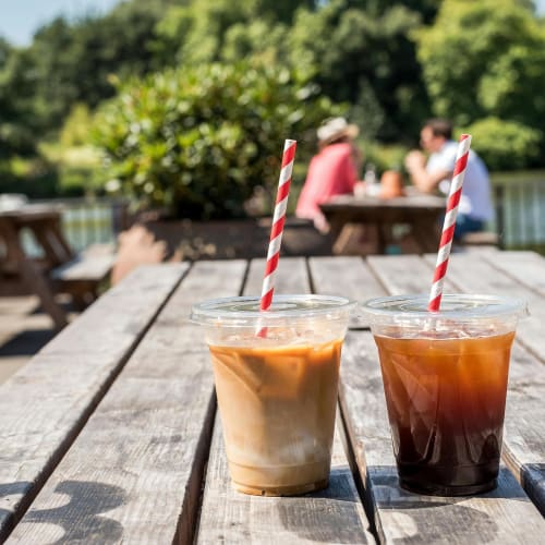 Eupako 9 oz. Plastic Cups with Lids, 100-Pack Disposable Clear Cups with Lids, for Cold Drinks, Parfaits, and Smoothies