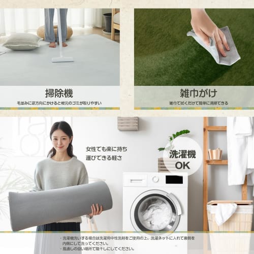 Replaquol Carpet Rug, 200x250cm (approximately 3 tatami mats), Washable, Non-Slip, Antibacterial, Odor Resistant, Dust Mite Resistant, All-Season, Com