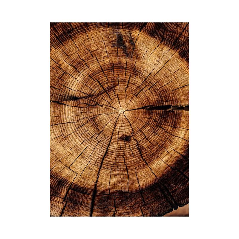

Деревянный ствол дерева, фото на холсте, современная природа, настенное искусство, кольцо роста, узор, постер для гостиной, домашний декор, Cuadros 50x70cm No Framed