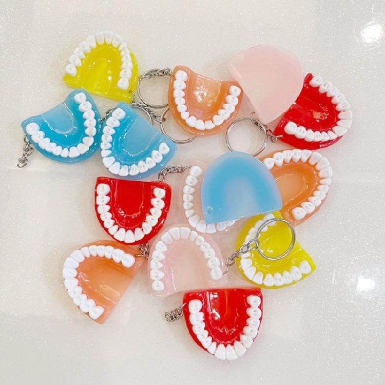 Mini Tooth Model Shape Keychain Bag Ornament Backpack Charm Pendant Car Keychain