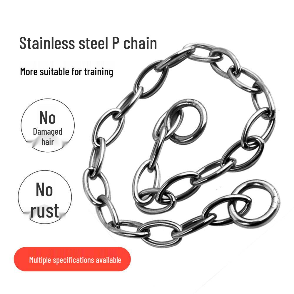 Stainless Steel P-Chain Dog Training Collar and Leash Set