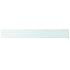 VidaXL Panneaux d'étagère 2 pcs Verre Transparent 100 x 12 cm