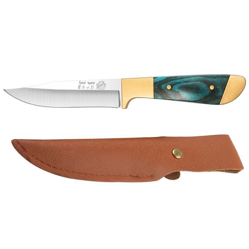 Small knife hand handle meat knife can be sharpened kitchen household sharp fruit knife table knife new model can