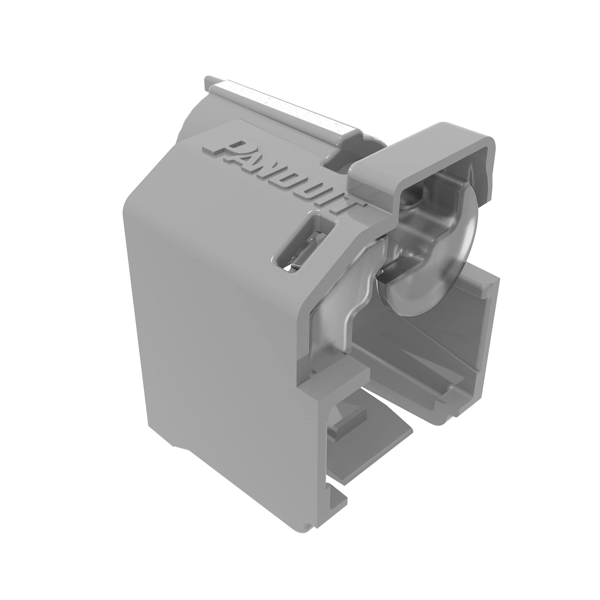 

Panduit Patch Cord Lock (LAN Cable Lock), Light Gray, Pack of 10, Includes 1 Dedicated Tool, PSL-DCPLRE-IG