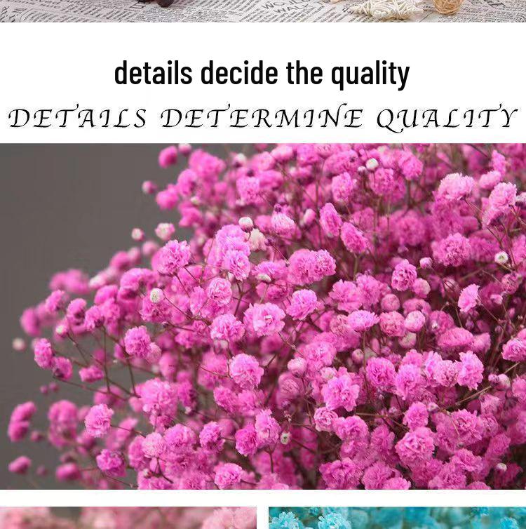 Baby's Breath Dried Flower Bouquet - Real Decorative Flowers for Living Room and Gift Packaging