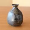 Sake Set: Tokkuri (sake Bottle) and Ochoko (sake Cups) Set, Arita Ware, 1 Tokkuri and 2 Gui-no-mi, Enka Design, Made In Japan.