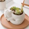 Flowerpot Ornament 3D Printed Sleeping Dragon Shape Matte Large Curved Planter 1 Pc