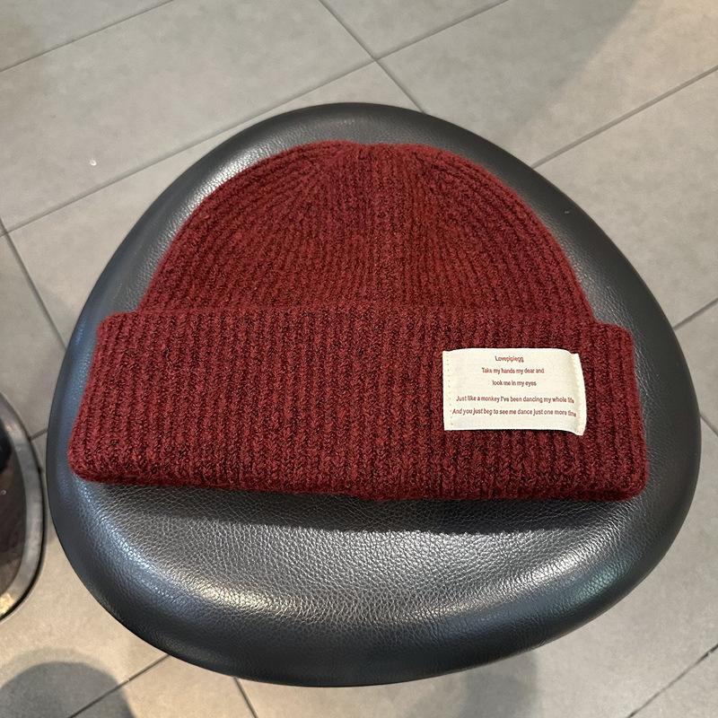 Knitted Hat for Women In Autumn and Winter Korean Ins Style Fashion Letter Label Wool Blended Thick Warm and Cold Pullover Hat