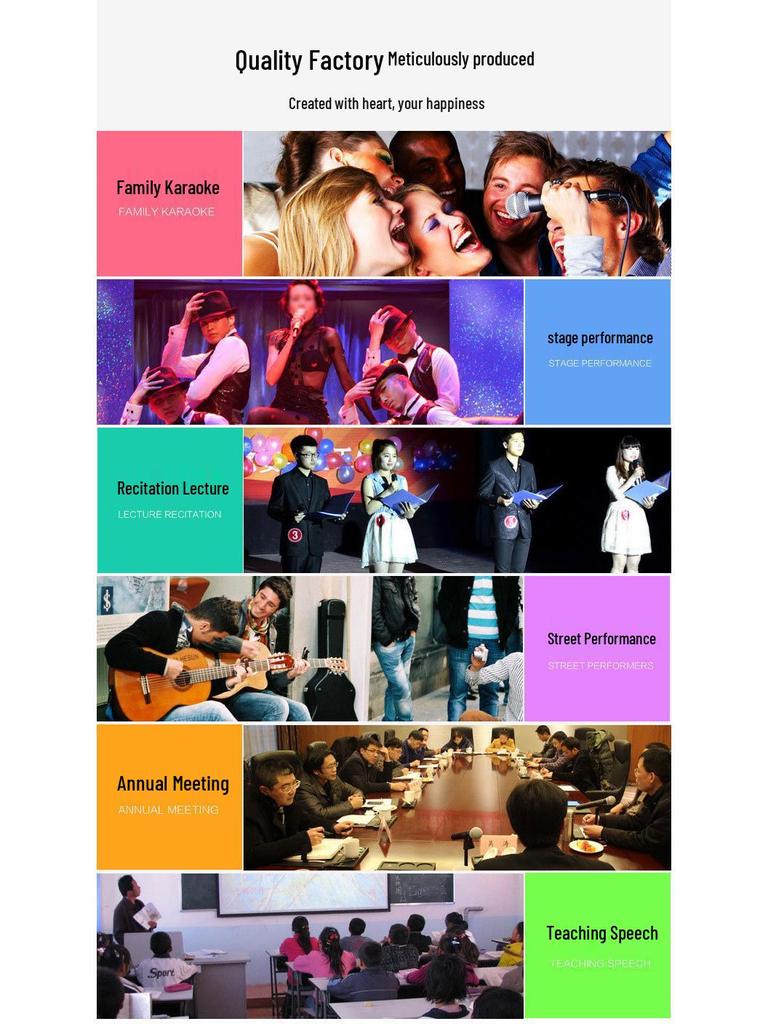 True Diversity Dual Wireless Conference Microphone