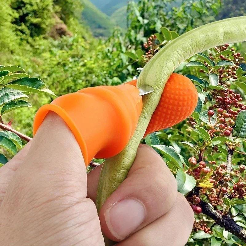 Dopbonen plukken Knijpen van groenten Duimmes voor het selecteren van groenten Plukgadget Tuinmes en schaar