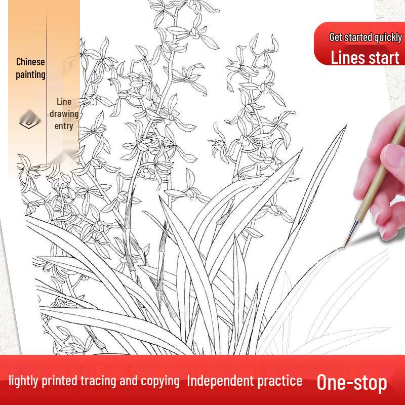 Chinese Gongbi Painting Beginner Tracing Book: Ancient Style Flowers & Figures Sketchbook