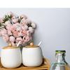 LISM White Spice Jar Set
