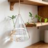 3 Pcs Hanging Glass Planter Clear Plant Propagation Stations Hydroponic Flower Vase for Indoor Home Office Living Room Decor