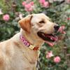 Personalisierte Nylon-Hundeleine Bedruckte Hundeleinen Kostenlose Individuelle Haustier-ID-Halskette Verstellbar für Kleine Mittlere Große Hunde Pitbull Mops
