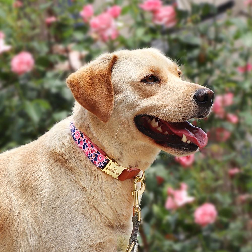 Personalisierte Nylon-Hundeleine Bedruckte Hundeleinen Kostenlose Individuelle Haustier-ID-Halskette Verstellbar für Kleine Mittlere Große Hunde Pitbull Mops