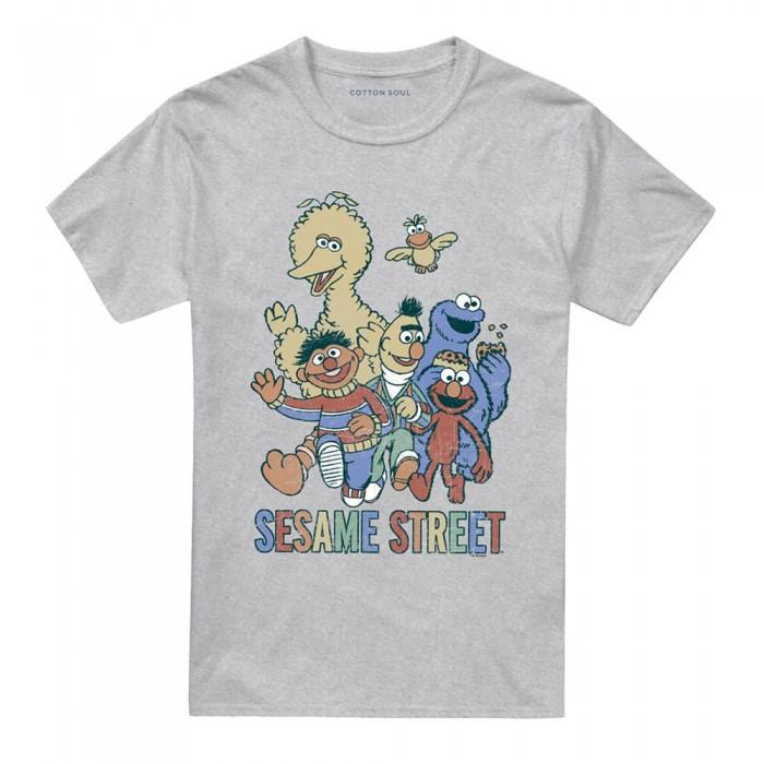 Sesame Street Unisex Adult Group Heather T-Shirt