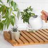 Flower Watering Can 1200ML Stainless Steel Long Spout Large Capacity Wooden Plant Handle Modern Indoor Outdoor Plants Flowers Pot Gardening Supplies