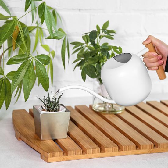 Flower Watering Can 1200ML Stainless Steel Long Spout Large Capacity Wooden Plant Handle Modern Indoor Outdoor Plants Flowers Pot Gardening Supplies