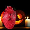 Model lidského srdce pro dekoraci halloweenské párty a děsivou děsivou simulaci části těla Event Párty potřeby